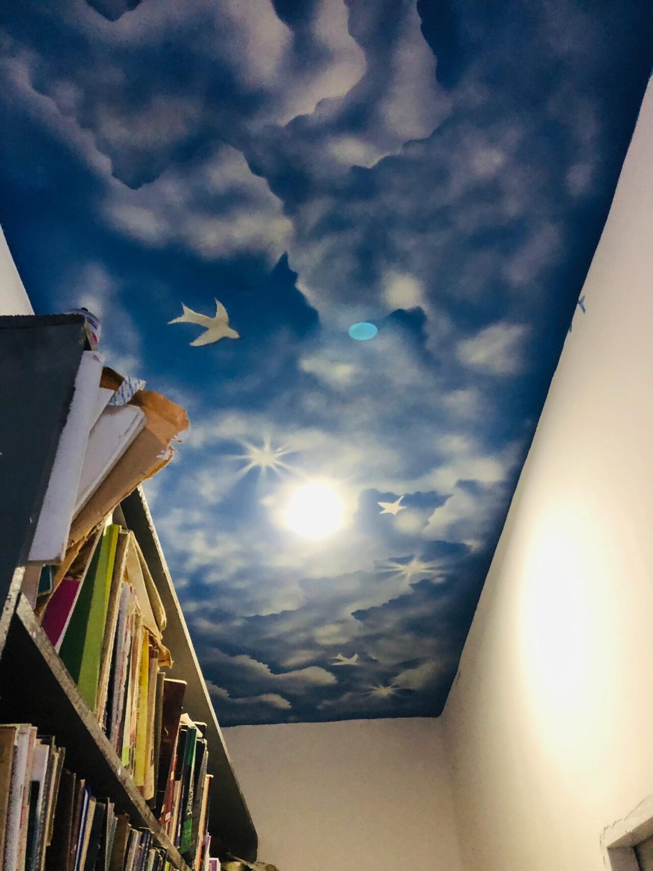 450252205_8384258068273543_7108664845819073027_n