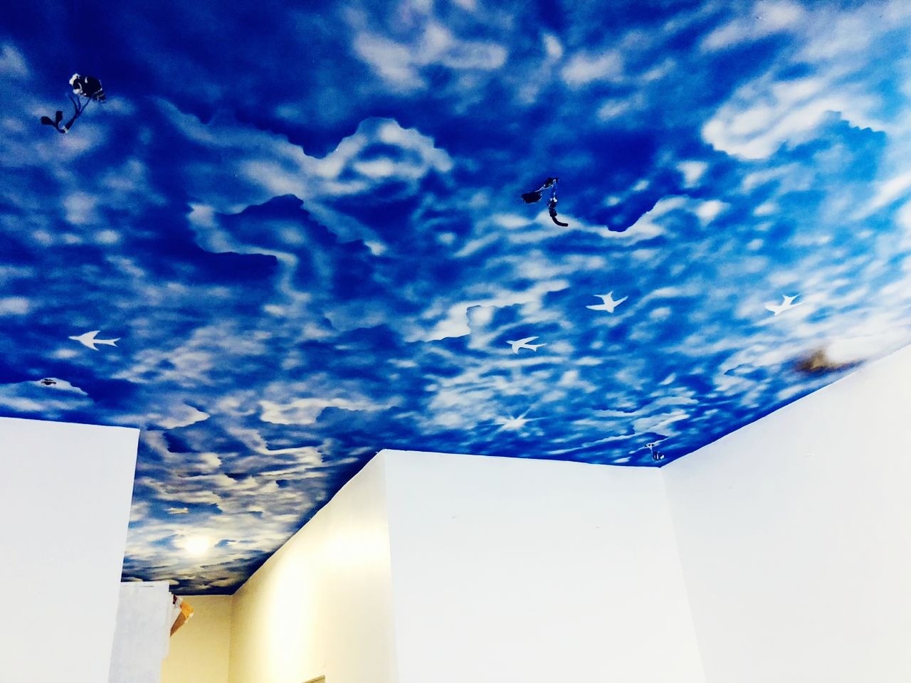 450594592_8384257928273557_5736758050563532294_n